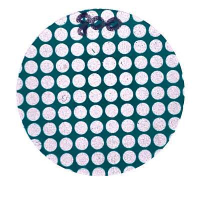 Lapidary Diamond Dot Disc #800 Grit 1.5" zum Schleifen von Edelsteinen